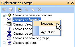 Explorateur de champs